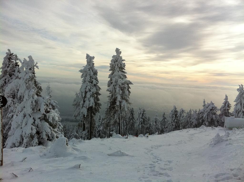 Concordia Harzapart Braunlage Esterno foto